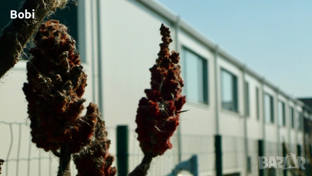 Panasonic Lumix DMC-LS80 PINK, снимка 3 - Фотоапарати - 53856239