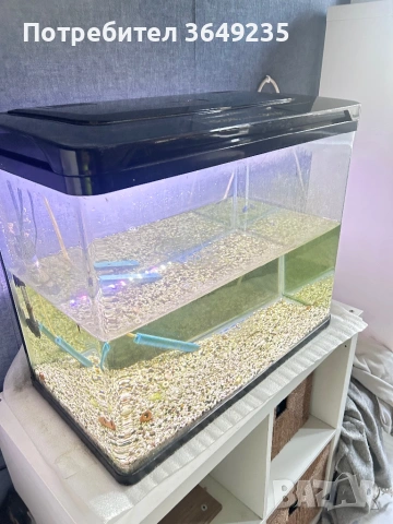 Аквариум “Амазония”