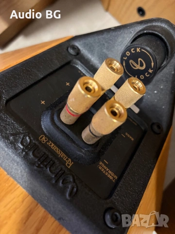 Infinity -Renaissance 80, снимка 4 - Тонколони - 53833725