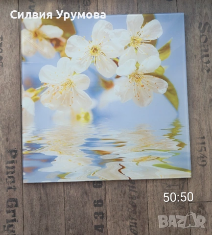 Рисувани картини/стъклени картини