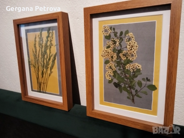 Комплект 2 бр. дървени рамки със стъкло с естествен хербарий., снимка 3 - Картини - 52140791