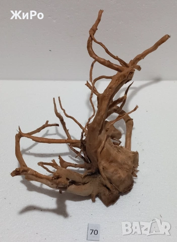 Корен от Азалия /декорация/ 70, снимка 4 - Други - 54102518