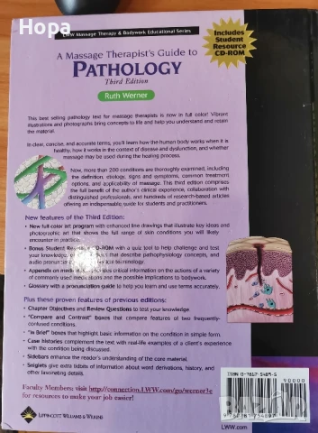 Учебници на английски език за масажисти, снимка 11 - Чуждоезиково обучение, речници - 51348706