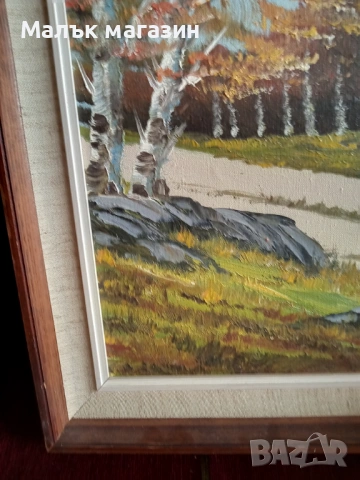 Картина с масло, подписана без забележки, снимка 5 - Картини - 54217415