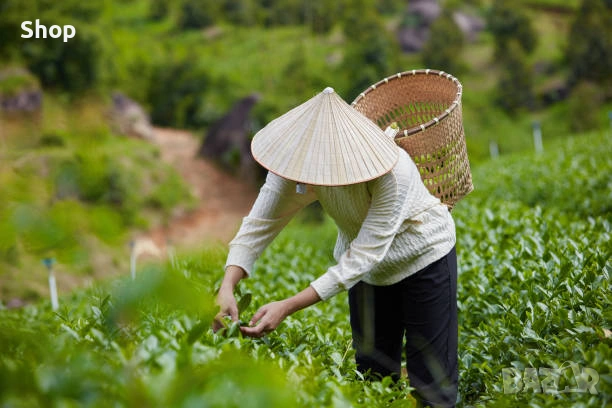 🌱 Виетнамска шапка 🇻🇳 🎋, снимка 18 - Шапки - 53633921