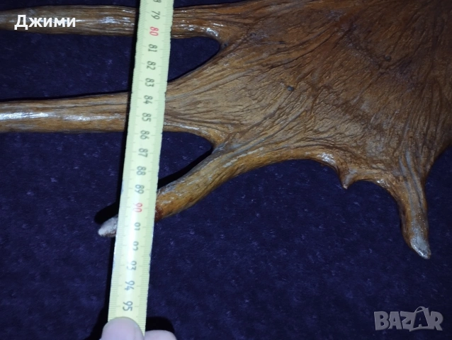 голям лос, снимка 15 - Антикварни и старинни предмети - 53622617