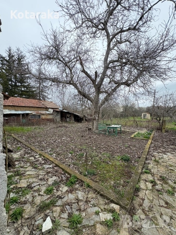 Къща в село Тюркмен , снимка 6 - Къщи - 54033443