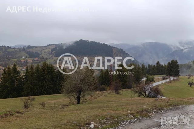 Поземлен имот, снимка 3 - Парцели - 51105225