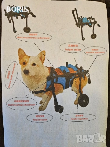 Инвалидна количка за куче 