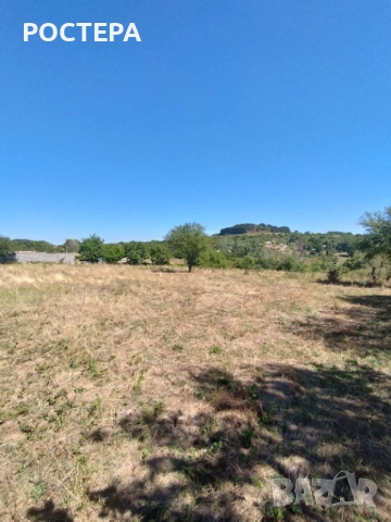 Къща село Кошничари 25км. от гр. Търговище, снимка 17 - Къщи - 51576389