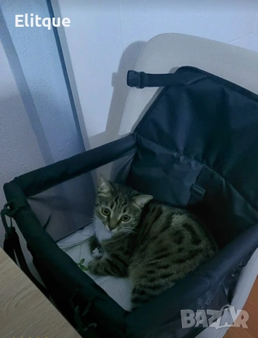 Седалка за куче за кола PETLIFE