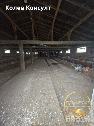 Къща с обор село Знаменосец , снимка 4 - Къщи - 53417905