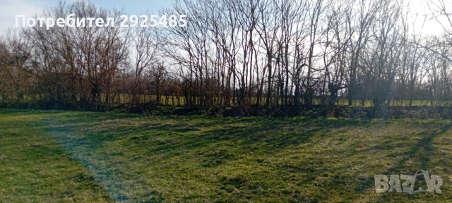 Урегулиран поземлен имот – 1380 кв.м. в с. Конево, общ. Върбица, снимка 5 - Парцели - 53710789