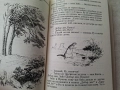 Детски книги Мечо Пух, Пипи дългото чорапче, приказки и други, снимка 3