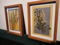 Комплект 2 бр. дървени рамки със стъкло с естествен хербарий., снимка 3