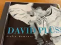 DAVID PLUSS, снимка 2