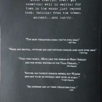 Wytches Volume 1 (Scott Snyder & Jock) - комикс / графичен роман, снимка 4 - Списания и комикси - 45401605