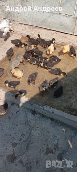 Юрдечета, снимка 1