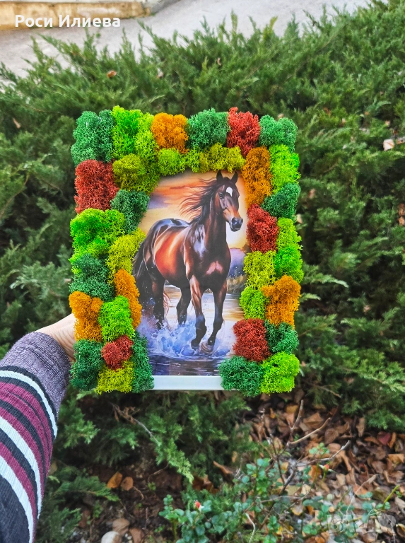 Цветна картина "Кон" декорирана със скандинавски мъх, снимка 1