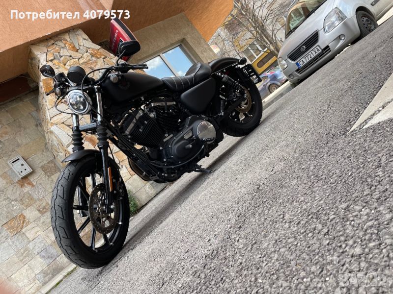 Harley-Davidson Sportster XL 883 iron, снимка 1