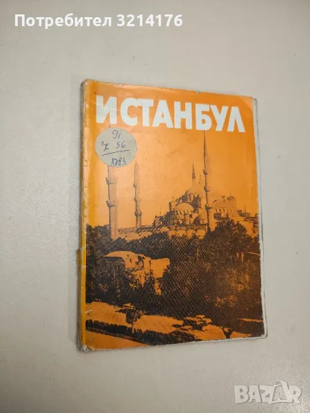 Истанбул - Светлин Кираджиев, Васил Дойков , снимка 1