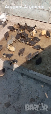 Юрдечета, снимка 1