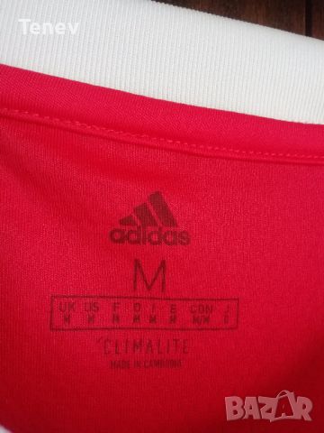Benfica Adidas оригинална нова тениска фланелка Бенфика М размер, снимка 5 - Футбол - 45904129