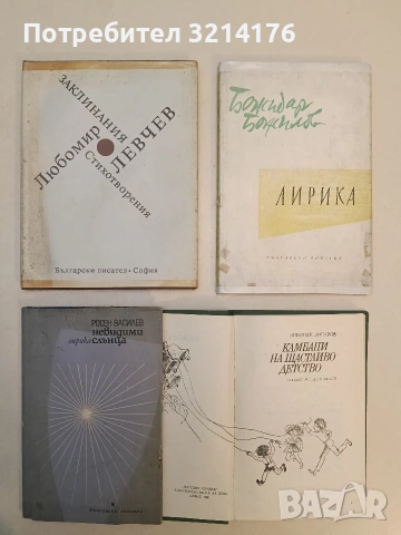 Невидими слънца - Росен Василев