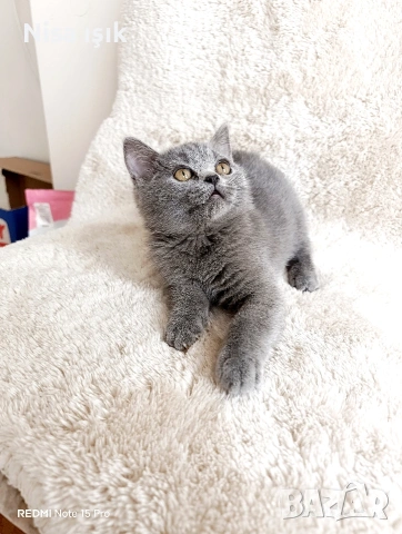 не е красив ъой е уникален в Хасково сме 