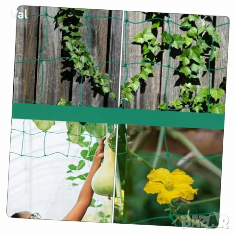 Мрежа за увивни растения и зеленчуци 1.2х20 м, Око 15х17 см, снимка 4 - Огради и мрежи - 53821289