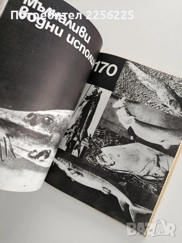 Великани на континентите, снимка 7 - Енциклопедии, справочници - 53457059