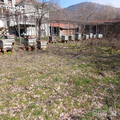 Стари пчелни кошери,12 рамкови, к-т с магазини и рамки.