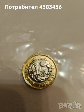 Паунд от 2016г, снимка 2 - Нумизматика и бонистика - 54239763