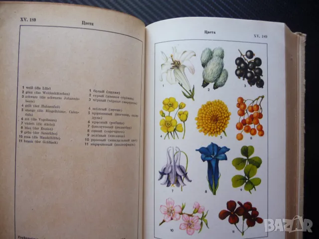 Немско-руски речник в картинки рядък Bild-Worterbuch език учене езици лесно, снимка 4 - Учебници, учебни тетрадки - 50095021