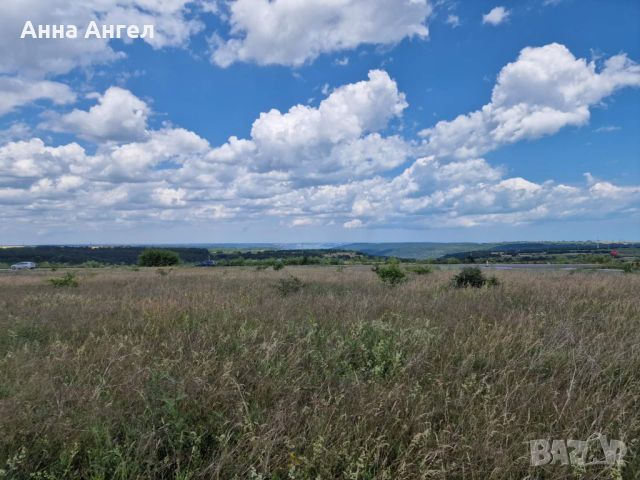 Парцел, до с.Кичево, 3000 кв.м., снимка 14 - Парцели - 45204302