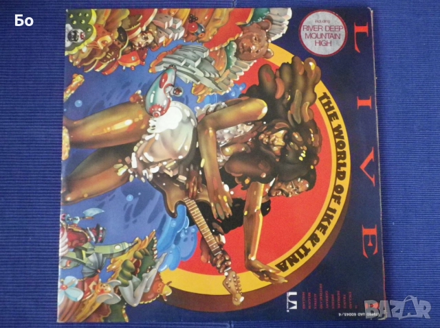 грамофонни плочи Tina Turner, снимка 15 - Грамофонни плочи - 52315211