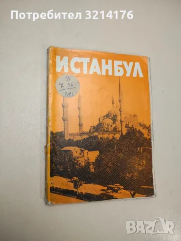 Истанбул - Светлин Кираджиев, Васил Дойков , снимка 1 - Специализирана литература - 48156991