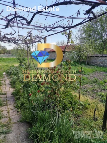 Едноетажна къща в село Книжовник, обл. Хасково, снимка 12 - Къщи - 51352509