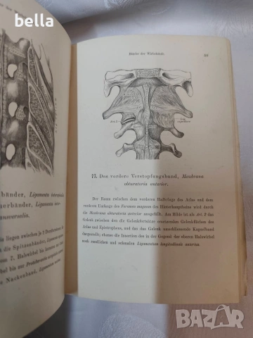 Антикварен медицински атлас по Анатомия (1875 г.) – Dr. Heitzmann, снимка 12 - Антикварни и старинни предмети - 53836569