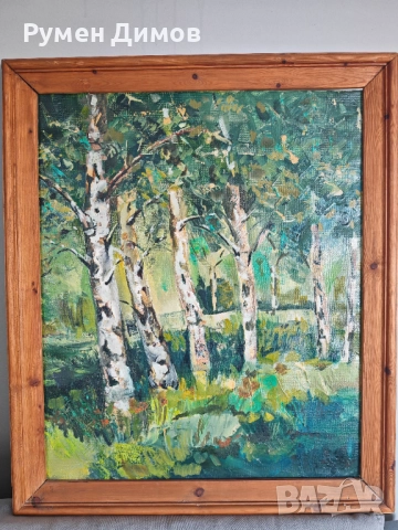 Продавам 2 броя картини - природни пейзажи, снимка 2 - Картини - 52746360