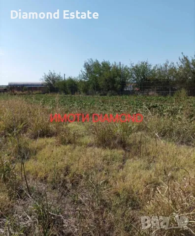 Парцел в Димитровград кв. Черноконево, снимка 4 - Парцели - 48612727