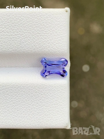 Танзанит за любители на кучета с швейцарски сертификат , снимка 3 - Други - 53677148