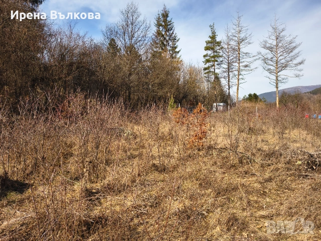 ПРОДАВА СЕ: Панорамен парцел в регулация – в.з. "Герова леска", с. Свидня, снимка 8 - Парцели - 53683788