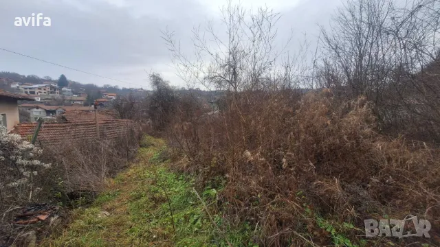 Имот в село Голема Раковица, снимка 2 - Парцели - 49638435