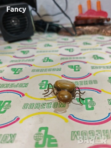 Брошка от индийски ахат , снимка 8 - Други - 53358610