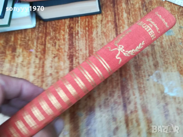 ЛЮБОВТА НА ШОПЕН 2407250716, снимка 2 - Художествена литература - 51123827