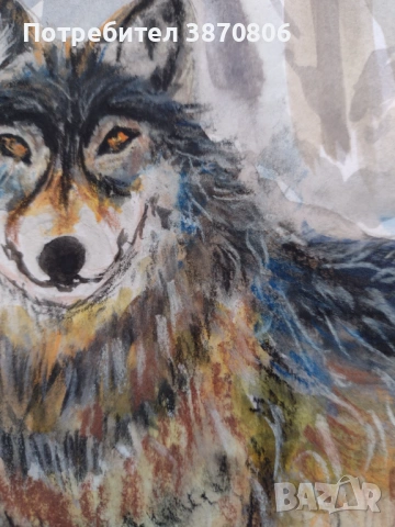 Вълк - рисунка акварел/пастели , снимка 2 - Картини - 53040954