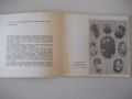 Книга "Музей*Баба тонка*Русе - Жечка Сиромахова" - 48 стр., снимка 3