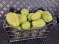 Чайот/ Мексиканска краставица , снимка 3