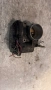 Дроселова Клапа за Mitsubishi Colt - MN191145 / 04T197, снимка 1